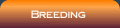 Learn about our breeding program
